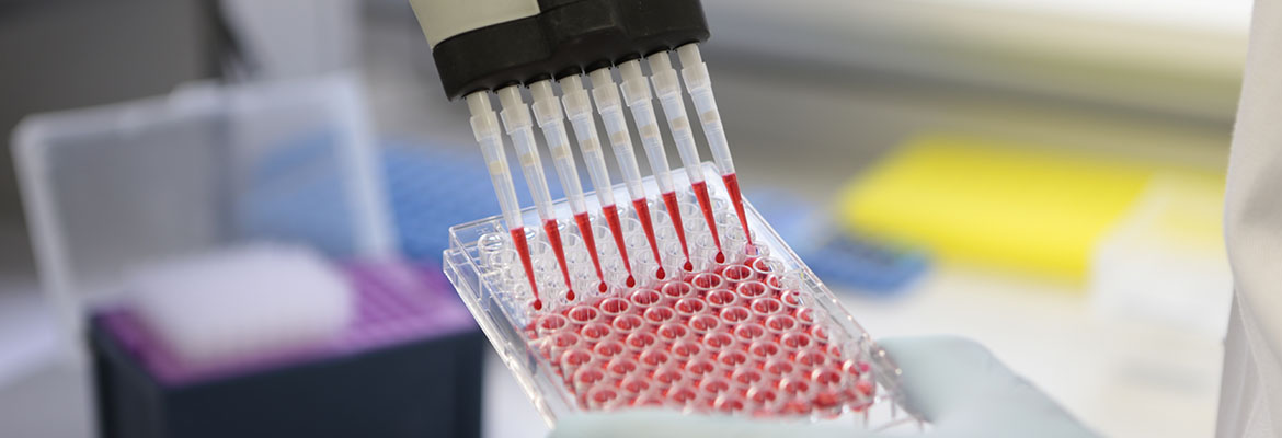 Scientific equipment used in the fight against cancer