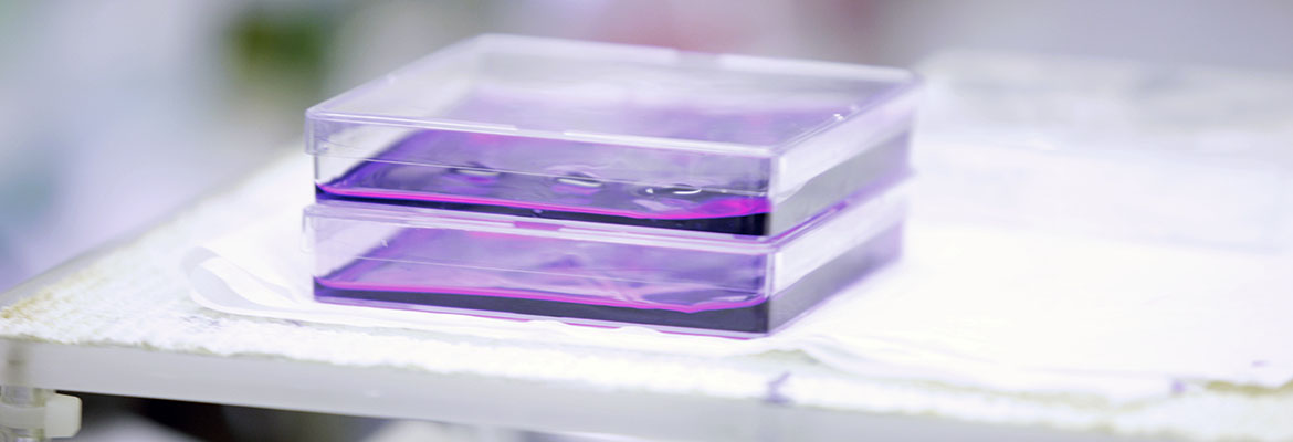 experiment samples sat in a laboratory