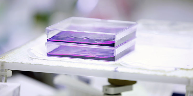 experiment samples sat in a laboratory